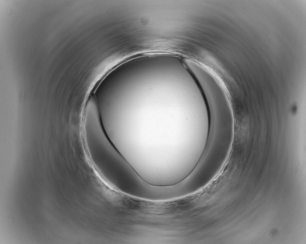 X0000099441485200805161122