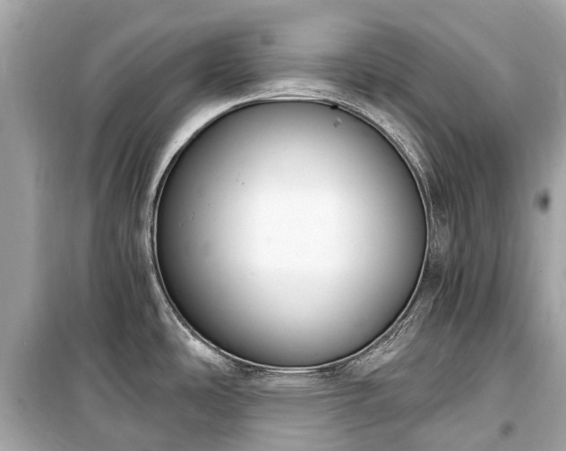 X0000099441486200805161122