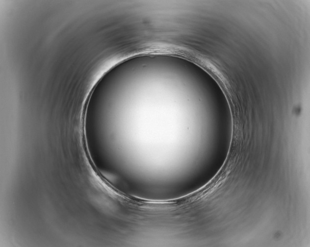 X0000099441487200805161122