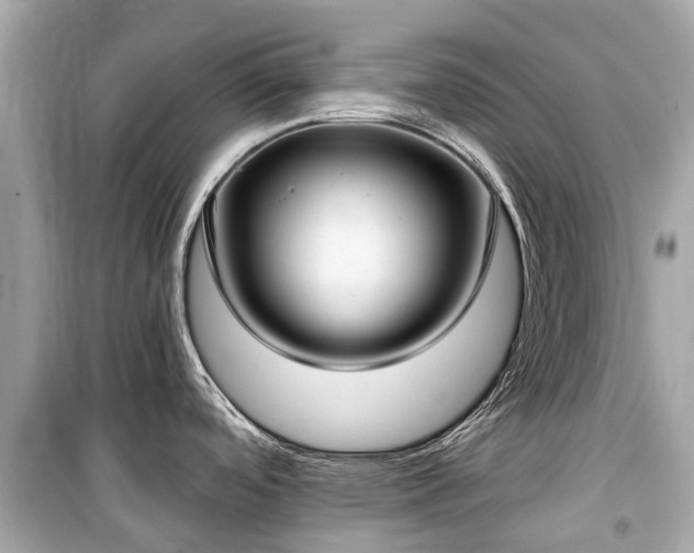 X0000099441488200805161122