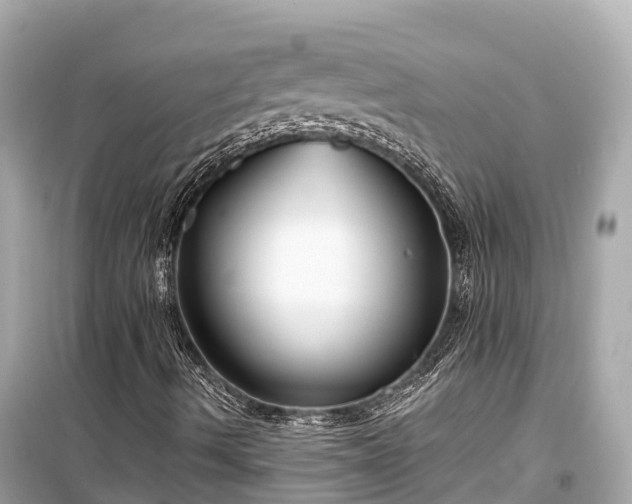 X0000099441490200805161121