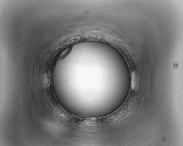 X0000099441491200805161121