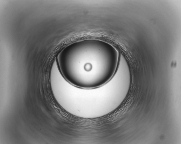 X0000099441492200805161121