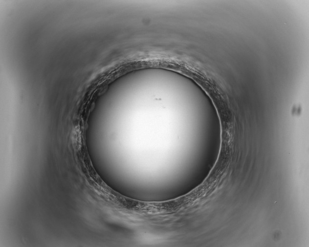 X0000099441493200805161121