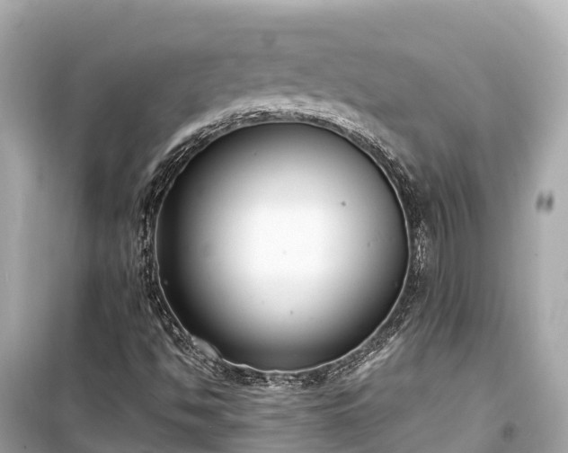 X0000099441494200805161121
