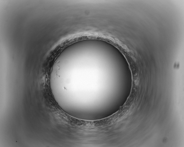 X0000099441495200805161121