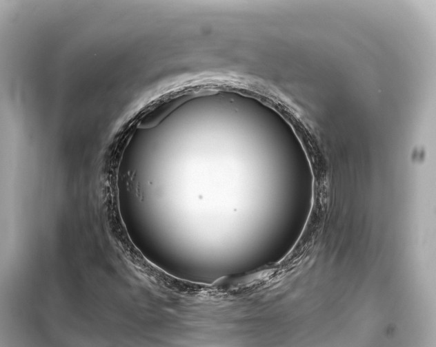 X0000099441496200805161121