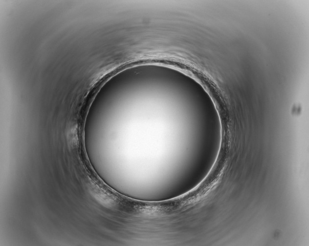 X0000099441497200805161121