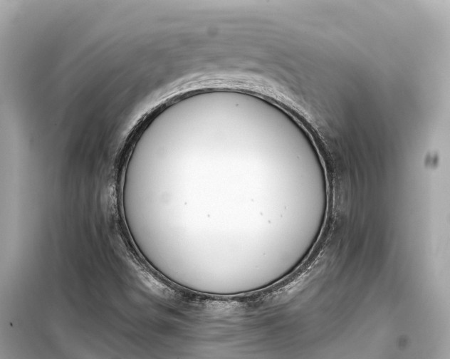 X0000099441498200805161121