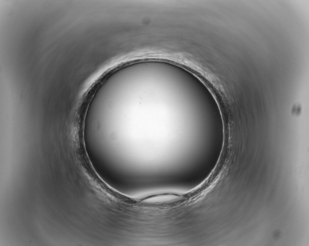 X0000099441502200805161121