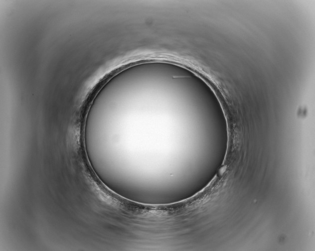 X0000099441503200805161121