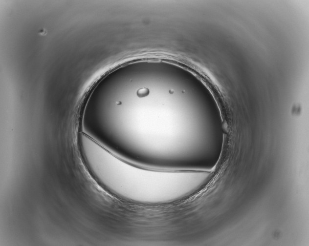 X0000099441504200805161121
