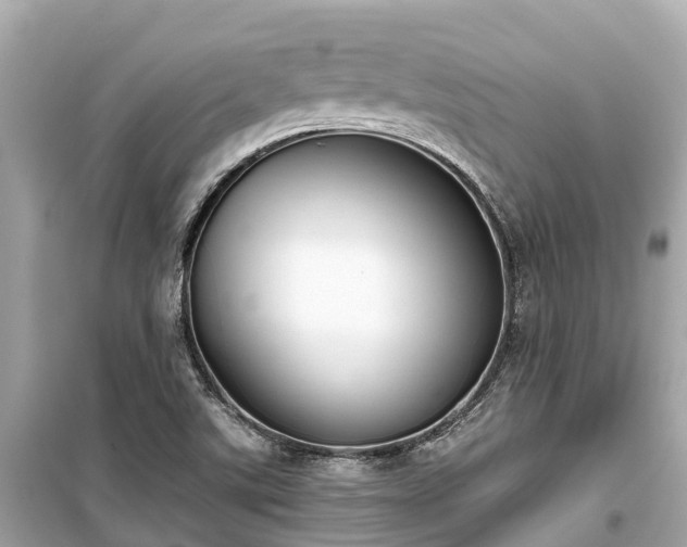 X0000099441507200805161121