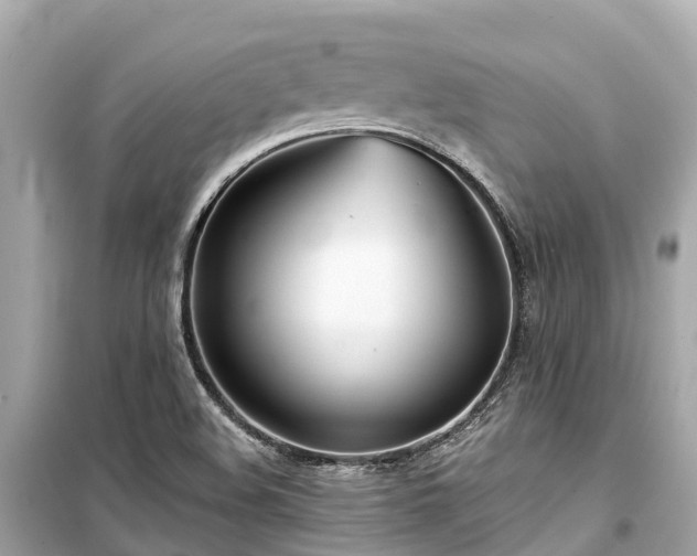 X0000099441508200805161121