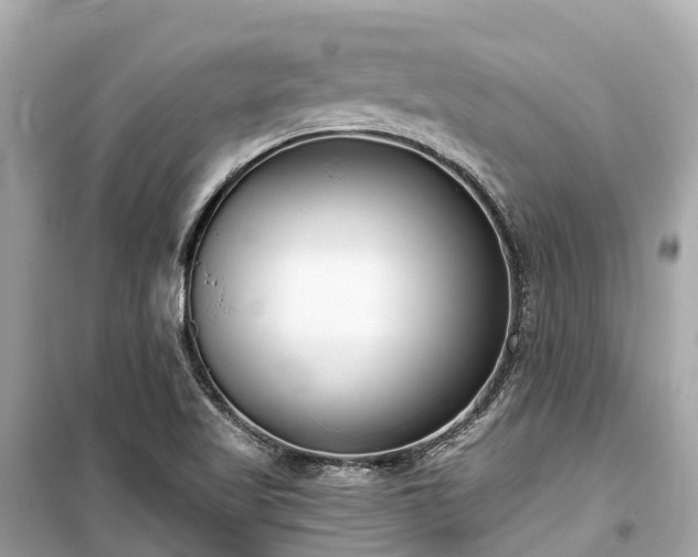 X0000099441509200805161121