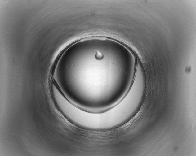 X0000099441510200805161121