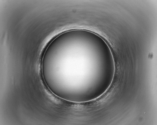 X0000099441511200805161121