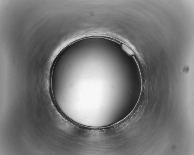 X0000099441512200805161121