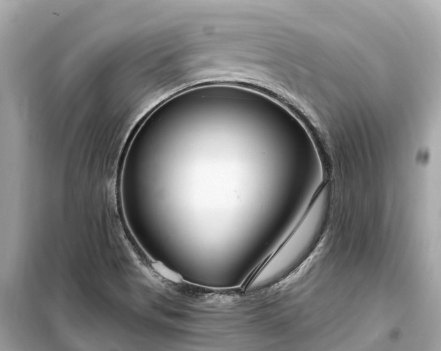 X0000099441513200805161122