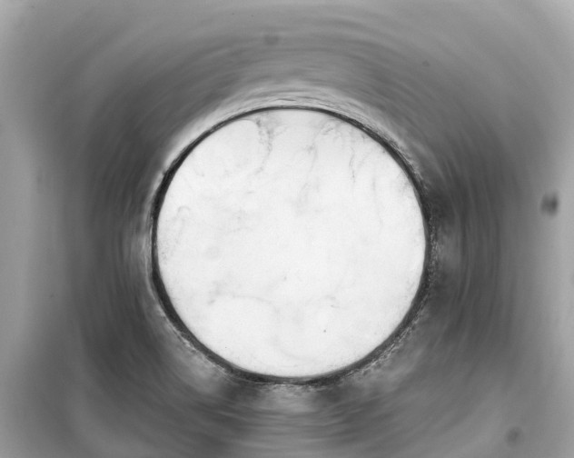 X0000099441514200805161122