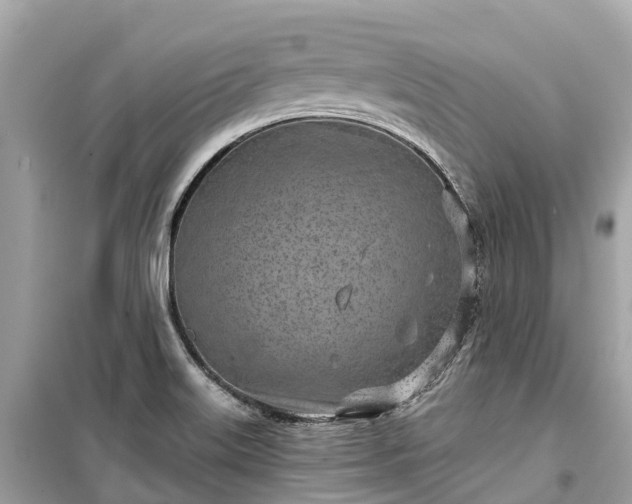 X0000099441515200805161122