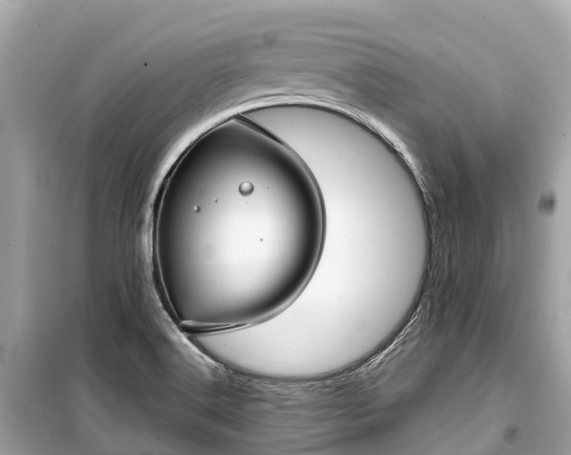 X0000099441516200805161122