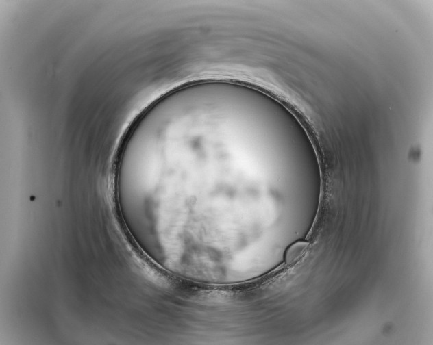 X0000099441517200805161122