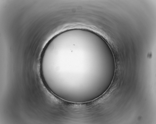 X0000099441518200805161122
