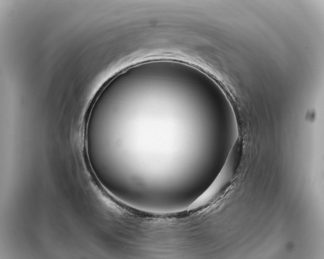 X0000099441519200805161122