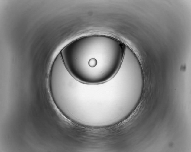 X0000099441520200805161122