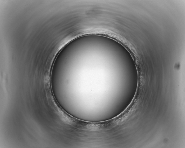 X0000099441521200805161122
