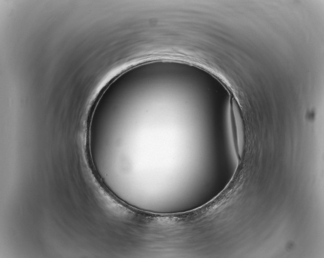 X0000099441523200805161122