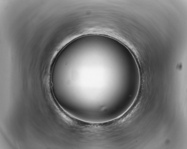 X0000099441525200805161122