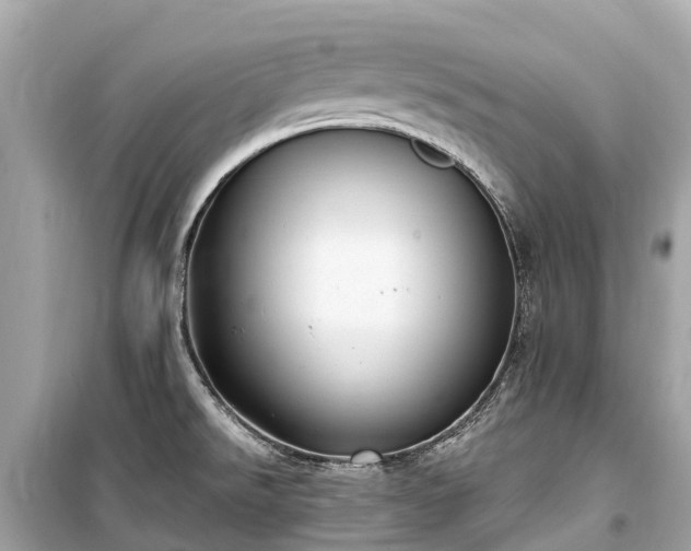 X0000099441526200805161122