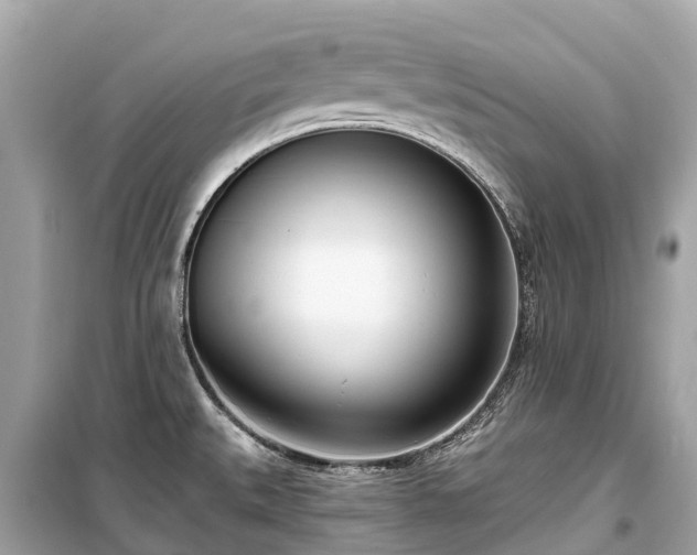 X0000099441527200805161122