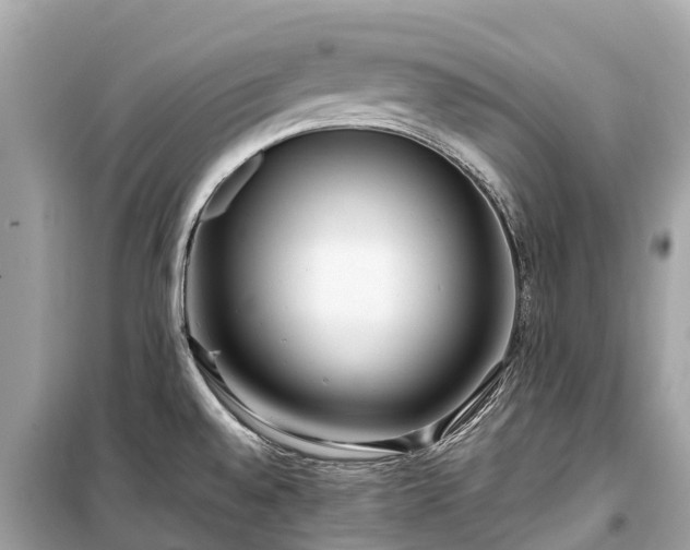 X0000099441528200805161122