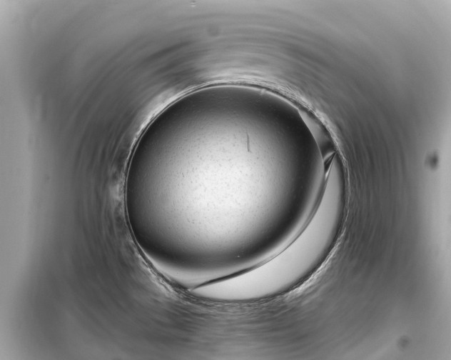 X0000099441529200805161122