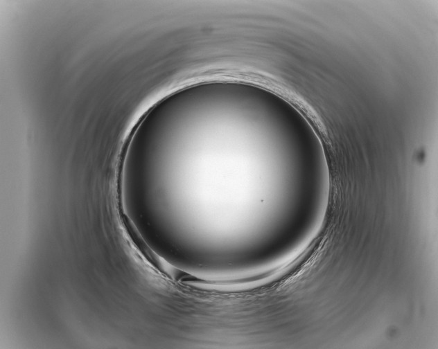 X0000099441530200805161122