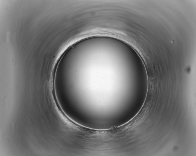X0000099441531200805161122