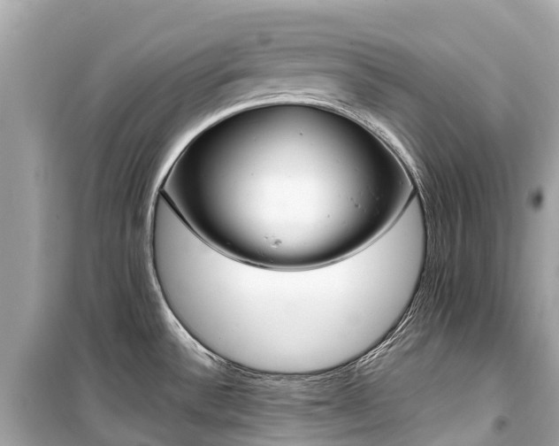 X0000099441532200805161122