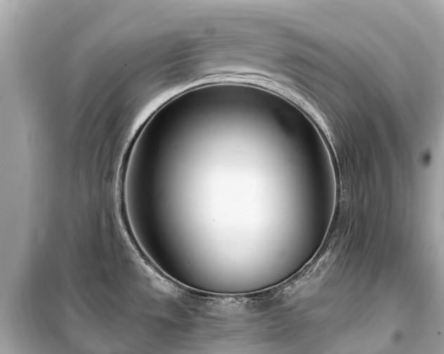 X0000099441533200805161122