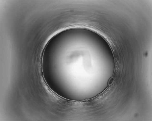 X0000099441534200805161122