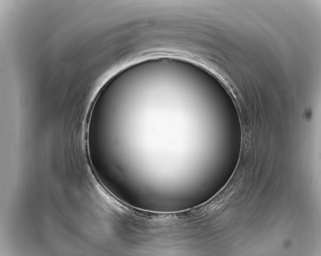 X0000099441535200805161122