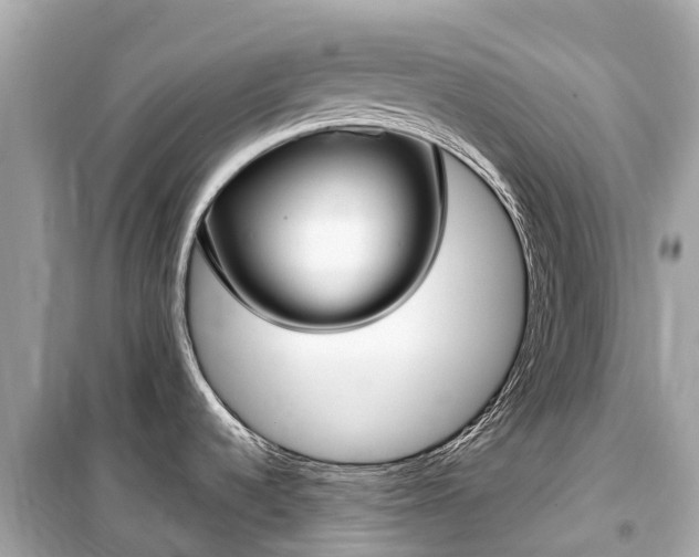 X0000099441536200805161122