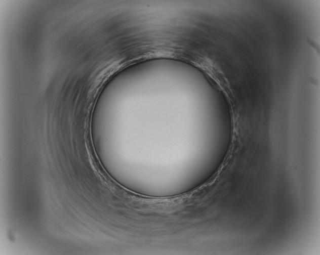 X0000099440001200805231728