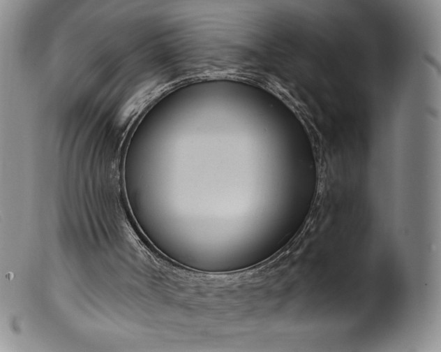 X0000099440002200805231728