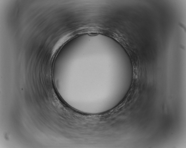 X0000099440004200805231728