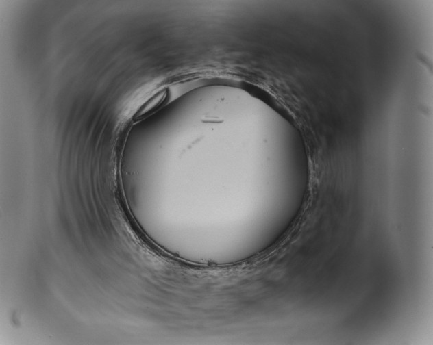 X0000099440005200805231728