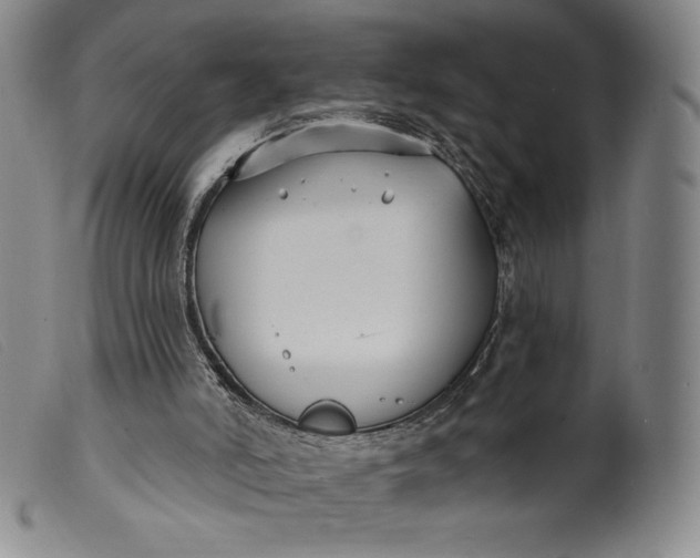 X0000099440006200805231728