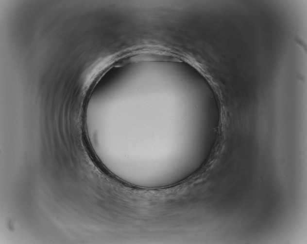 X0000099440007200805231728